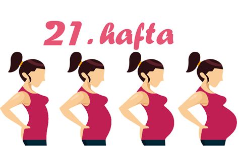 21 1 haftalık gebelik